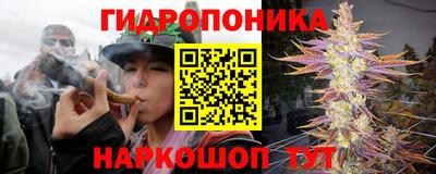 скорость Шахты