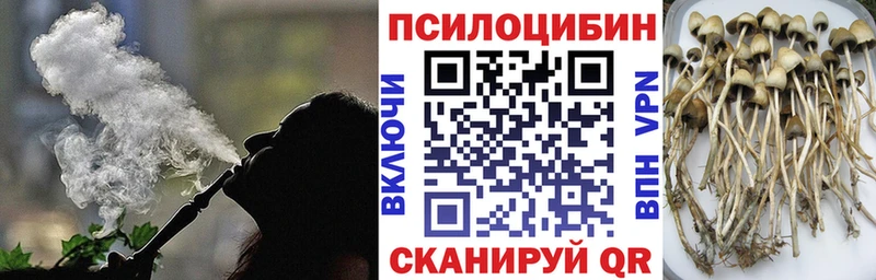 Псилоцибиновые грибы Cubensis купить наркотики цена нарко площадка наркотические препараты Барнаул